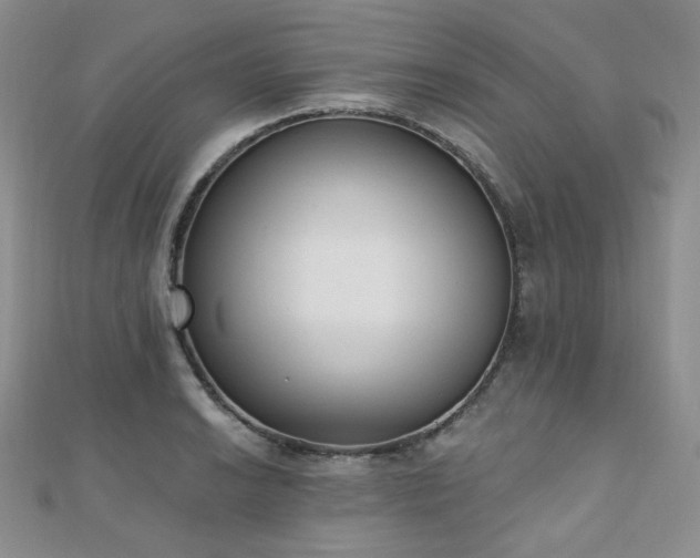 X0000110741038200906151059