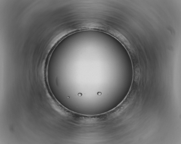 X0000110741039200906151059