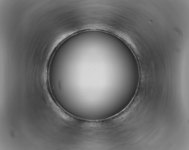 X0000110741040200906151059