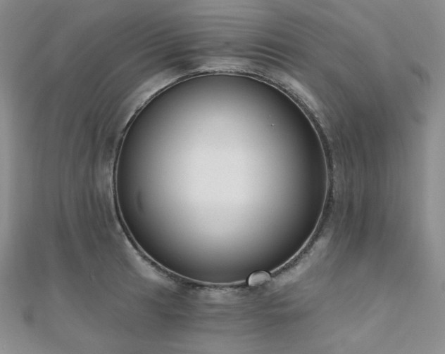 X0000110741041200906151059