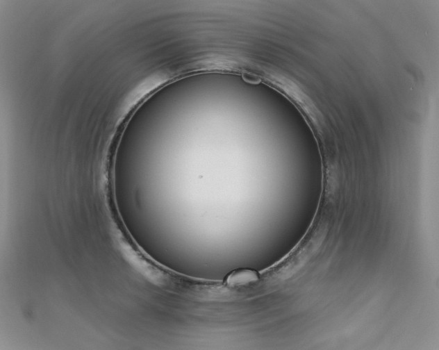 X0000110741042200906151059