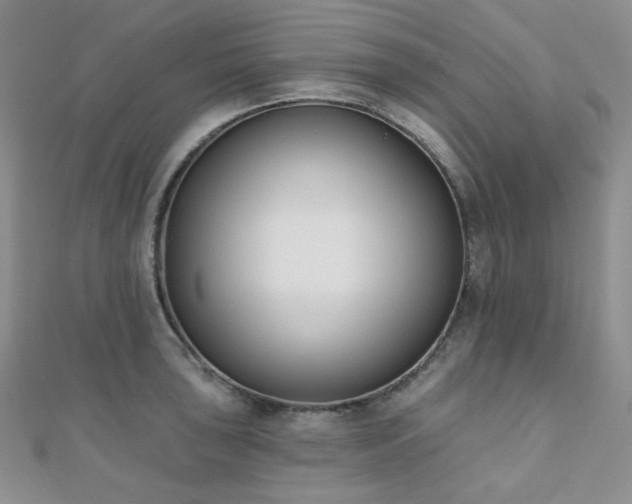 X0000110741043200906151059