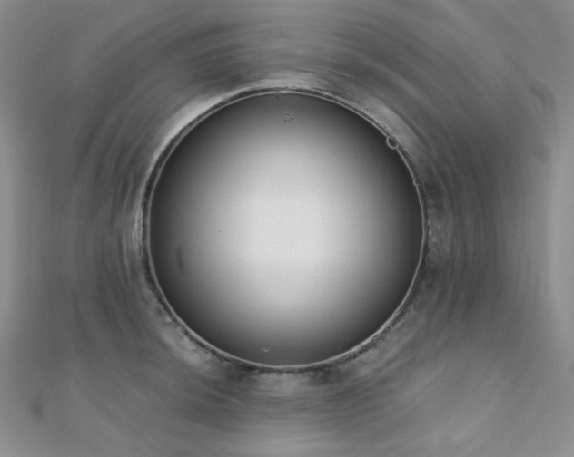 X0000110741044200906151059