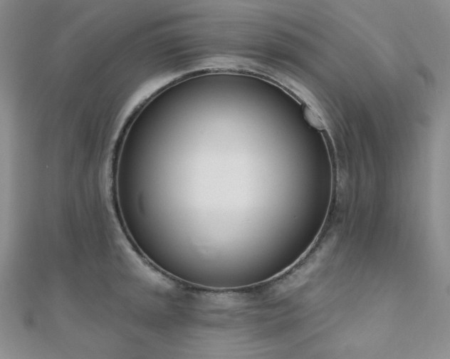 X0000110741045200906151059