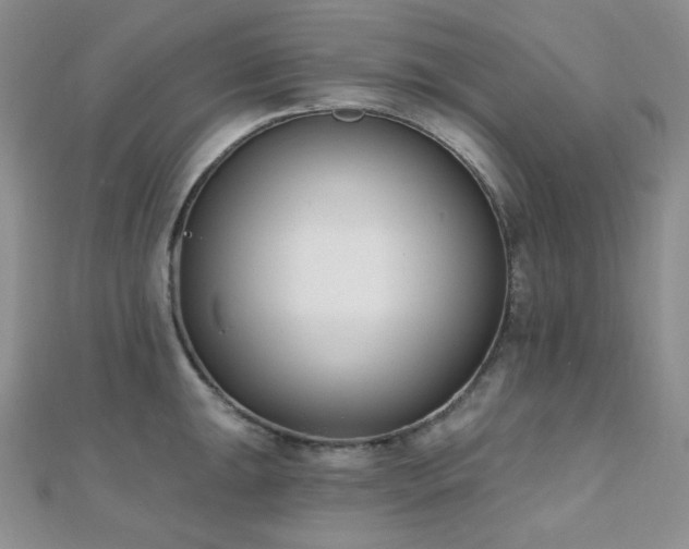 X0000110741047200906151059