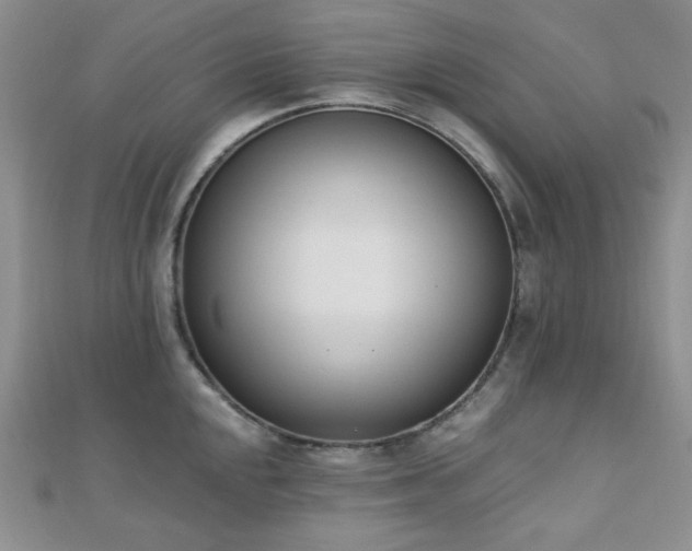 X0000110741048200906151059