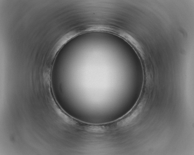 X0000110741049200906151059