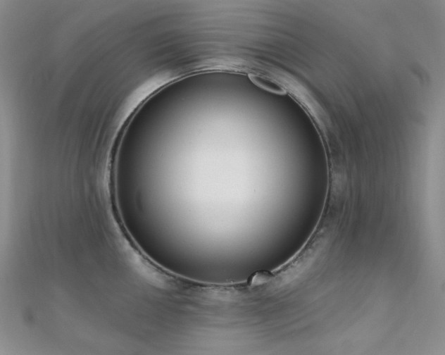 X0000110741050200906151059