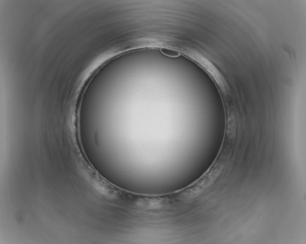 X0000110741051200906151059