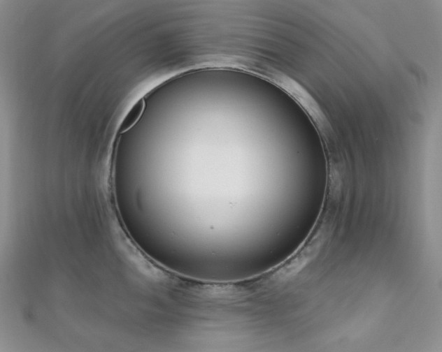 X0000110741052200906151059