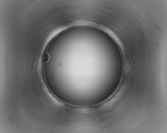 X0000110741053200906151059