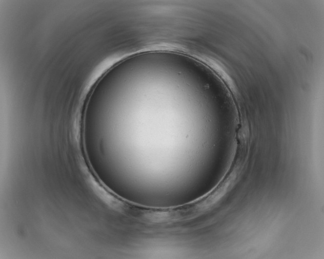X0000110741054200906151059