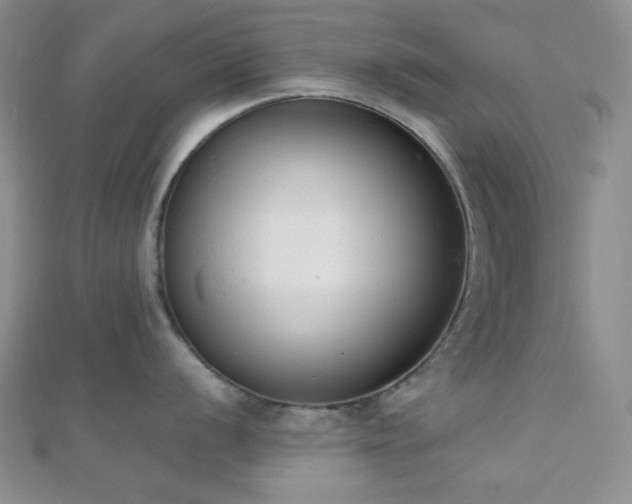 X0000110741056200906151059