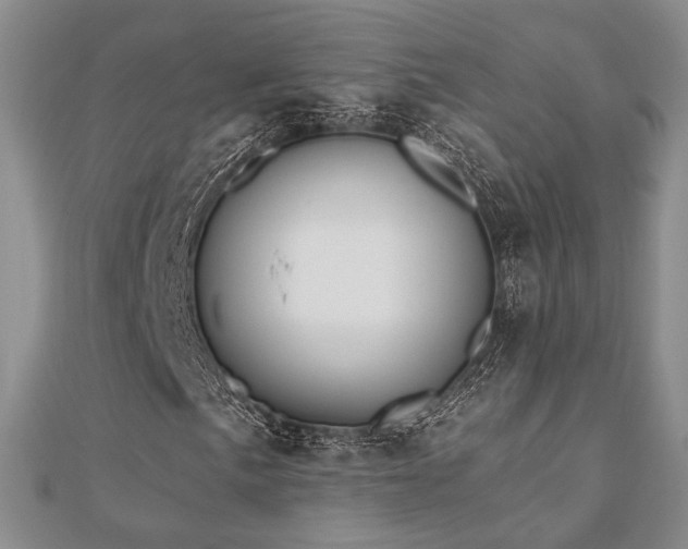 X0000110741057200906151059