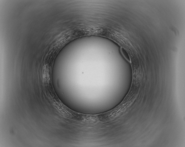 X0000110741058200906151059