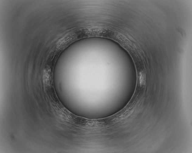 X0000110741059200906151059
