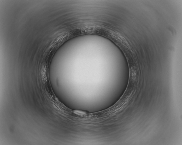 X0000110741060200906151059