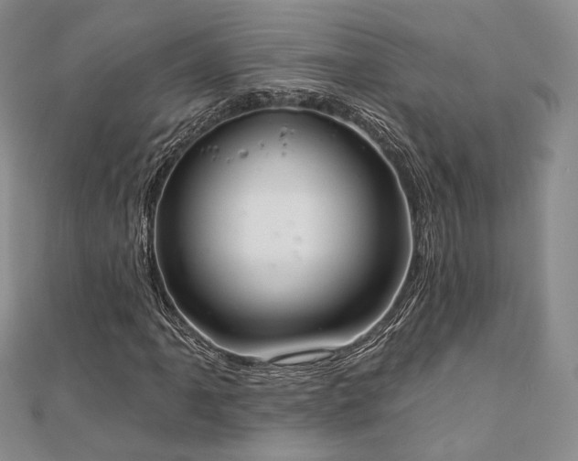 X0000110741061200906151059