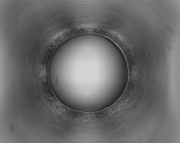 X0000110741062200906151059