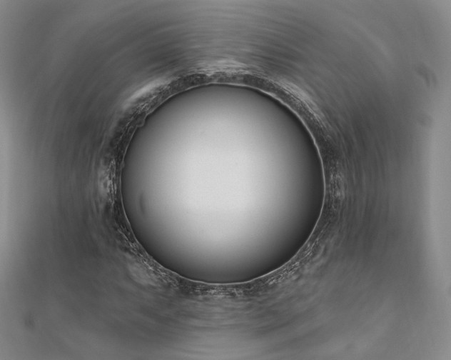 X0000110741063200906151059