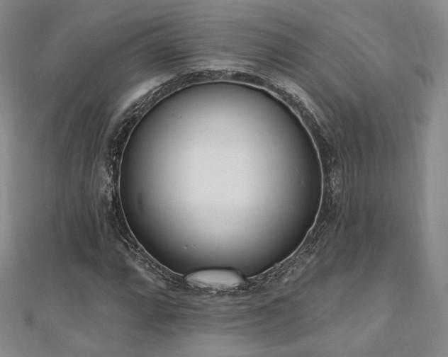 X0000110741064200906151059