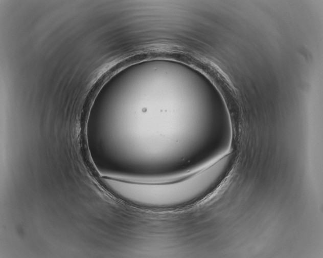 X0000110741065200906151059