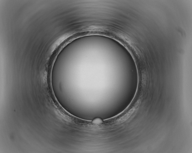 X0000110741066200906151059