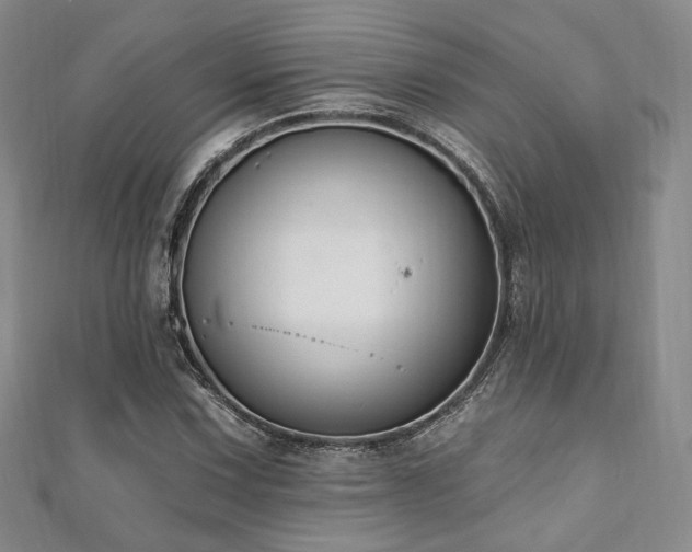 X0000110741067200906151059
