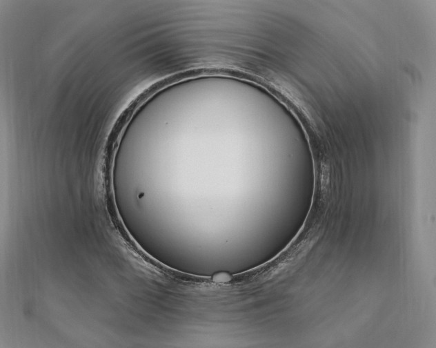 X0000110741068200906151059