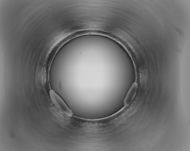 X0000110741069200906151059