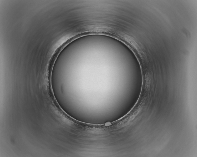 X0000110741071200906151059
