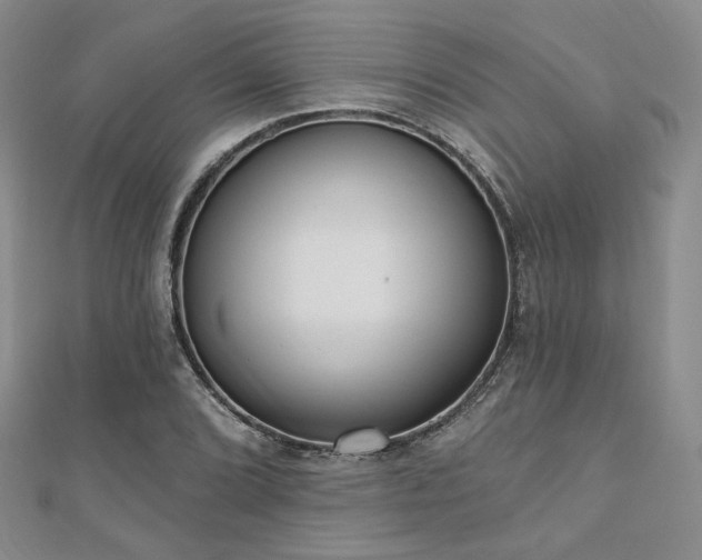 X0000110741072200906151059