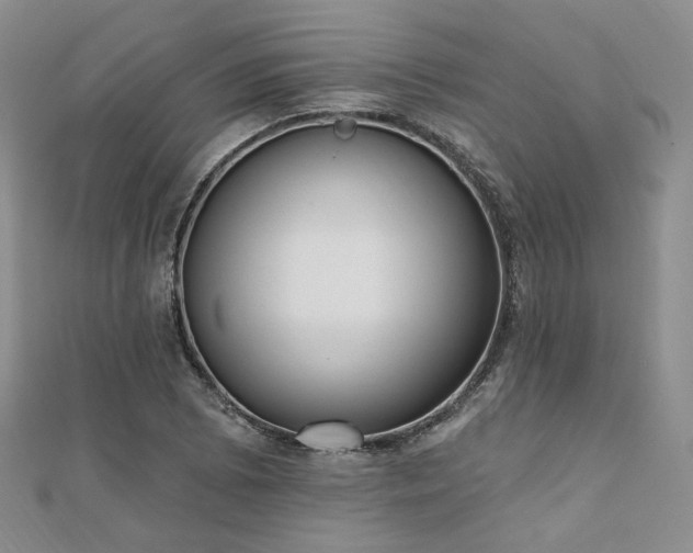 X0000110741073200906151059
