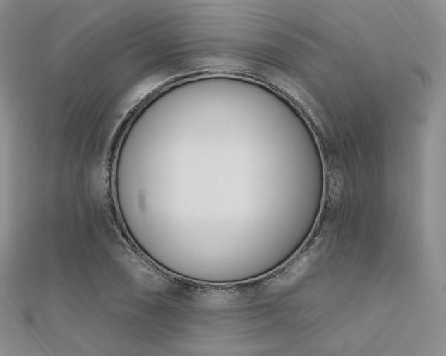 X0000110741074200906151059