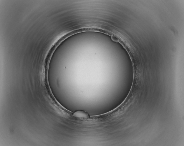 X0000110741076200906151059