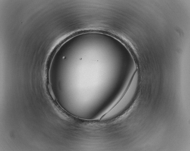 X0000110741077200906151059