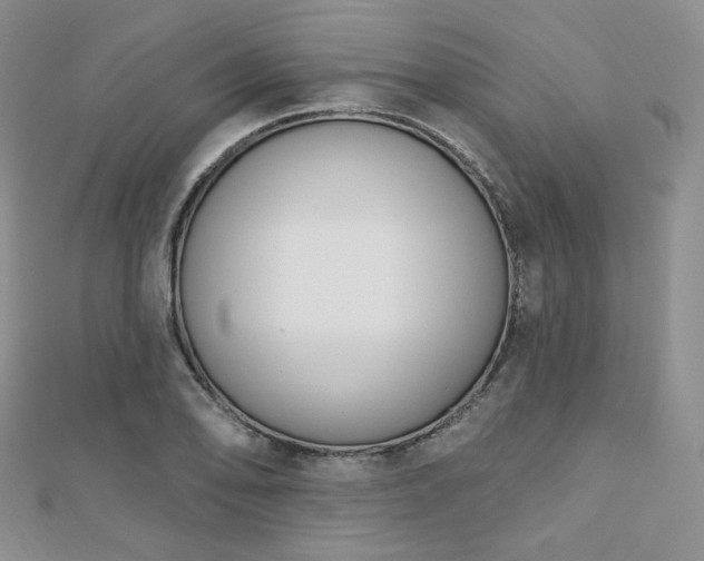 X0000110741078200906151059