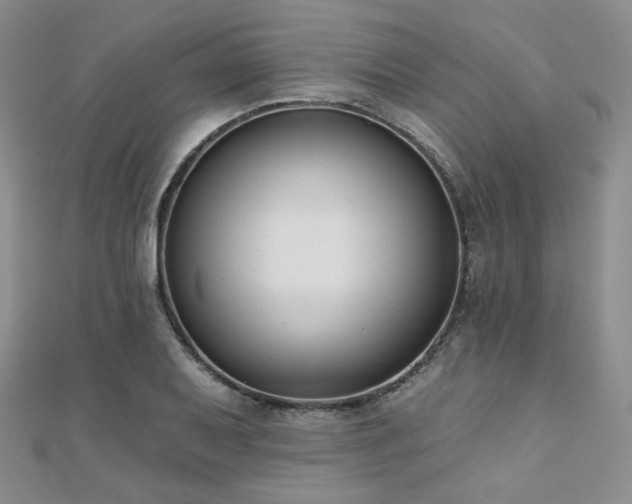 X0000110741079200906151059
