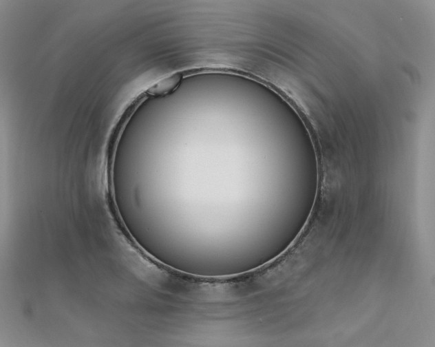 X0000110741080200906151059