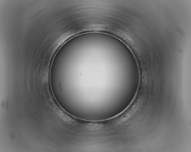 X0000110741081200906151059