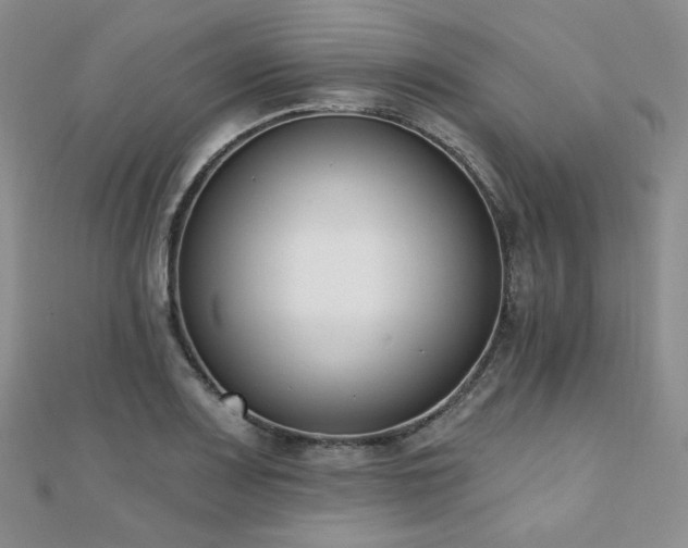 X0000110741083200906151058