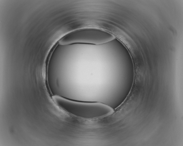 X0000110741084200906151058