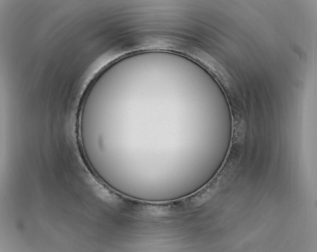 X0000110741086200906151058