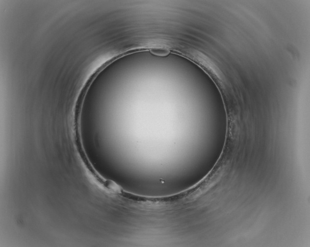 X0000110741087200906151058