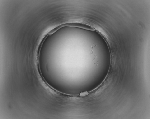 X0000110741088200906151058