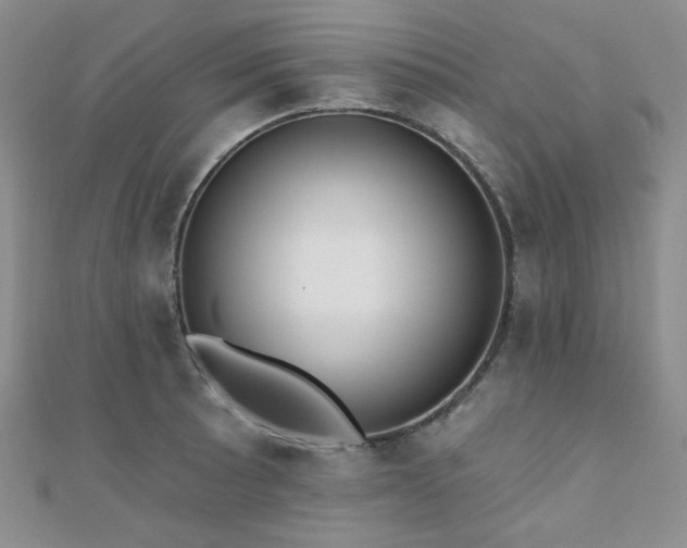 X0000110741089200906151058