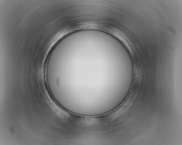 X0000110741090200906151058