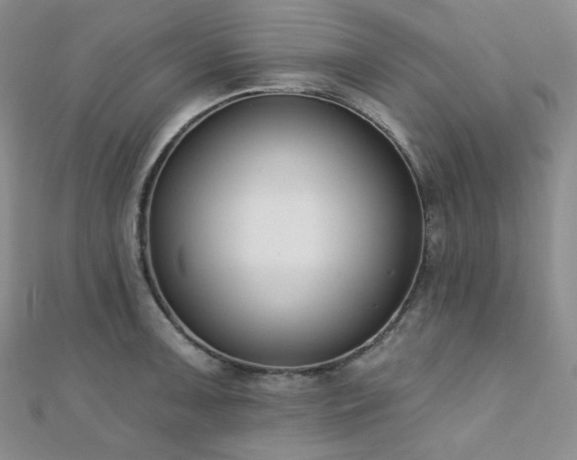 X0000110741091200906151058