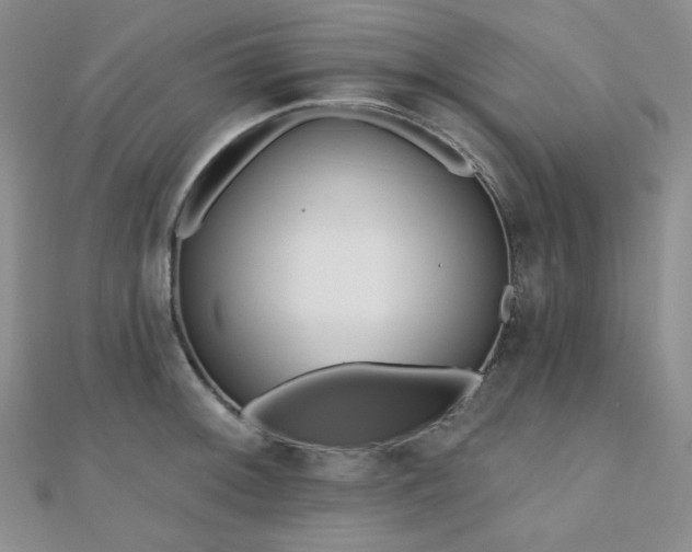 X0000110741092200906151058