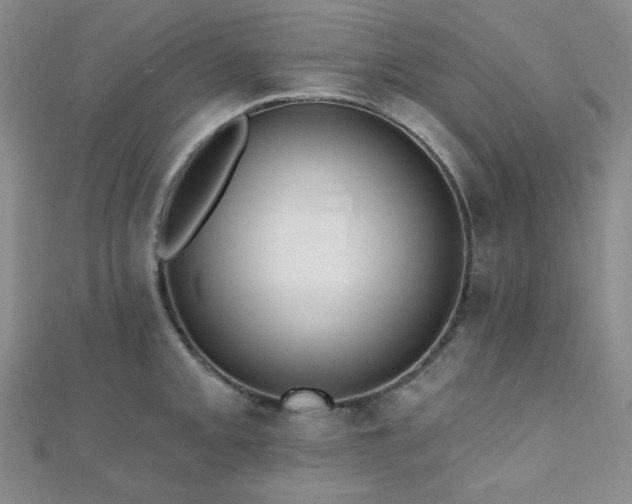 X0000110741093200906151058